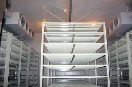 香蕉视频下载污維修 香蕉视频下载污維修